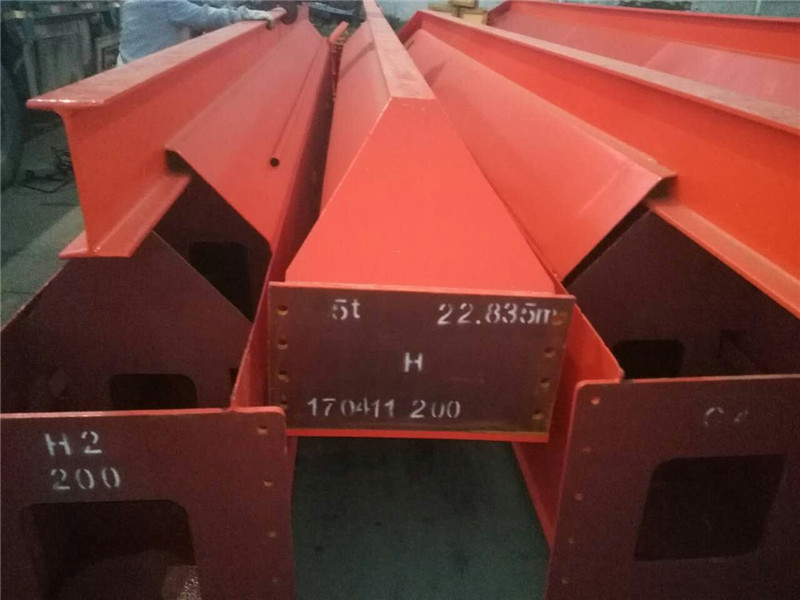 LX Single Girder Suspension Crane (6)