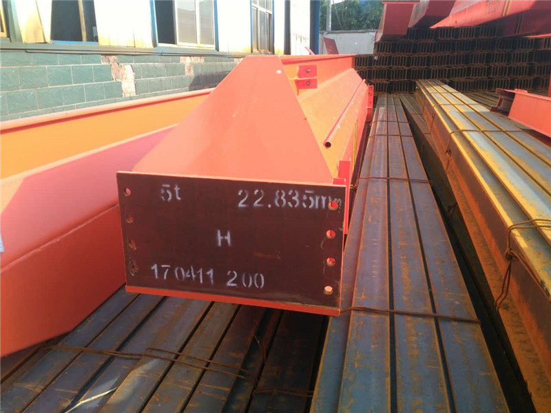 LX Single Girder Suspension Crane (4)