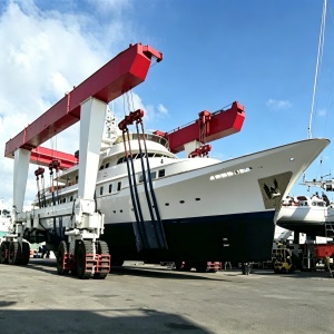 Boat Lift Crane