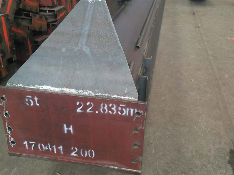 LX Single Girder Suspension Crane (2)